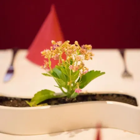 Hotel Restaurant Lathener Marsch Lathen